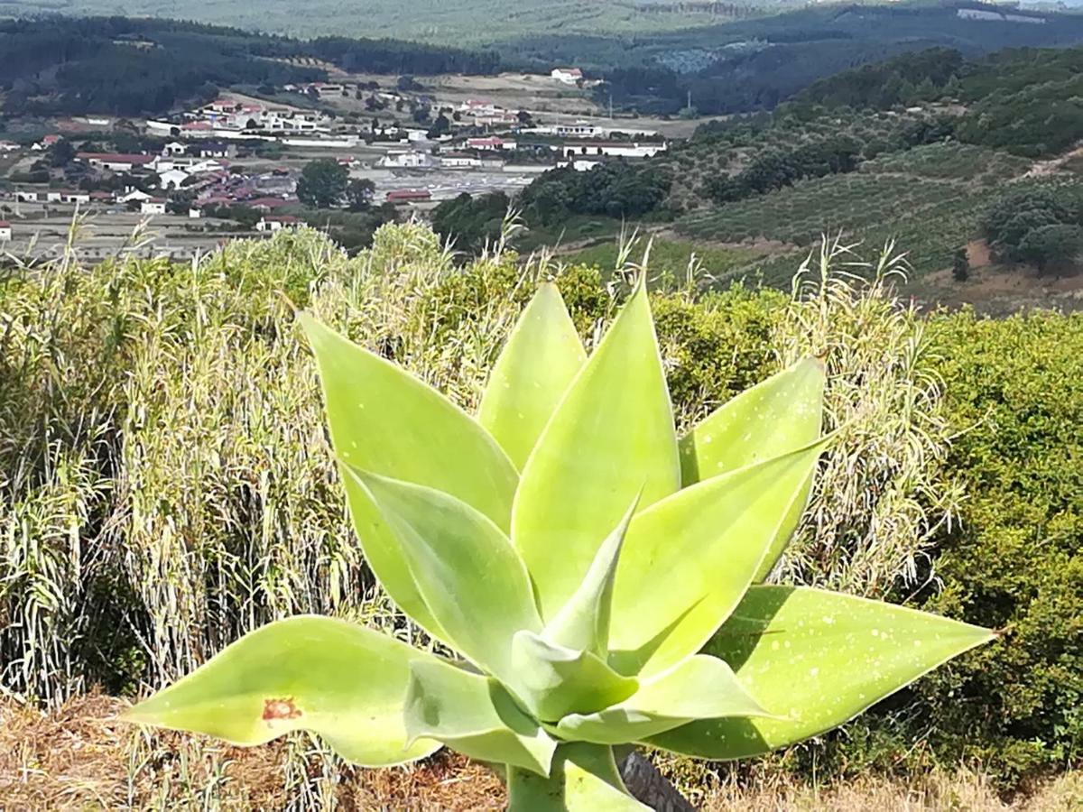 Casal Mala-Posta Villa Rio Maior Eksteriør bilde